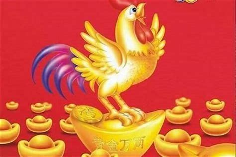 1981属什么|1981年属鸡的几月出生最好 1981年属鸡五行属什么